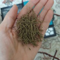 میخ پی برنزی