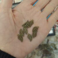 اویز برنزی برگ