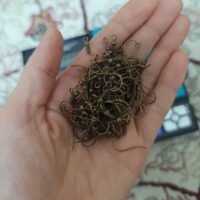 قفل گوشواره برنزی