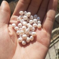 مروارید پروشی سایز 6 میل دونه ای