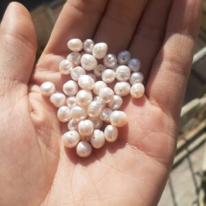 مروارید پروشی سایز 6 میل دونه ای